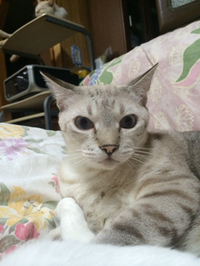 人気者？面倒見が良い？