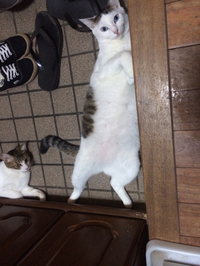 ご無沙汰 2016/10/02 19:04:18