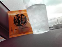 1月30日の記事 2016/01/30 17:48:07