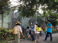 [BVS]ワンダーキャンプサイトと動物園