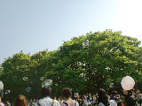 思い出 2010/05/05 23:24:55