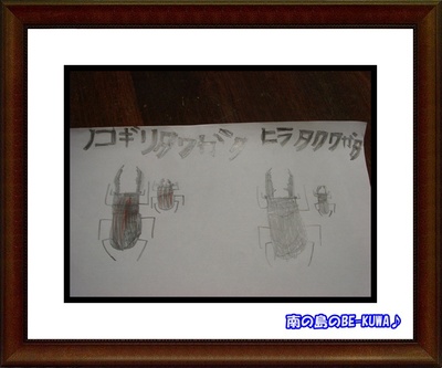 オキヒラ産卵セット & 画伯2 & ヘラ♀★