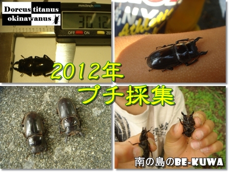 ◆センチメンタル & 冷蔵ショーケース & 2012年プチ採集