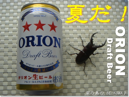 ◆ORION BEER & 2012採集 & オキヒラ菌糸交換 & etc