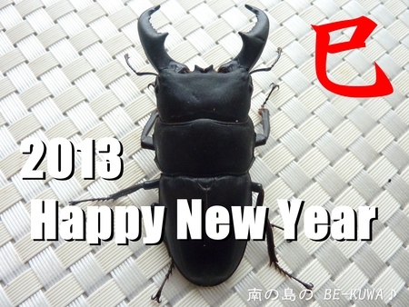★ライダー & 謹賀新年 & クワ本 & マンディ