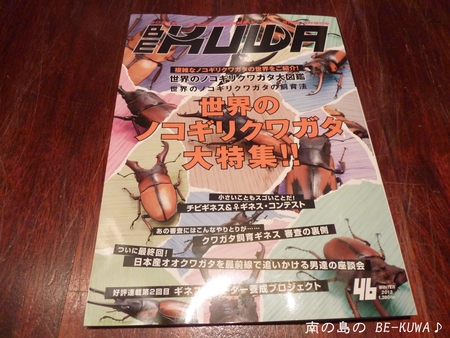 ★浪漫飛行 & 訪問者 & リュウコ産卵 & 菌糸詰め &
