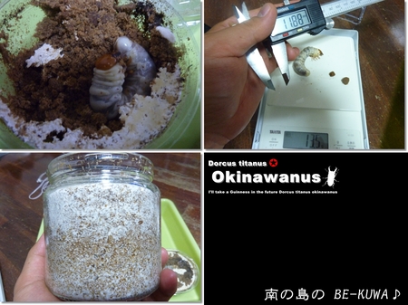 ★風になりたい& 竜頭蛇尾 & オキヒラセット
