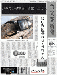 涙　＆　2011年クワガタ採集　7月　その3