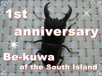 ◆1周年 & パラワン再セット ＆ 羽化・蛹化 & 七色蛹