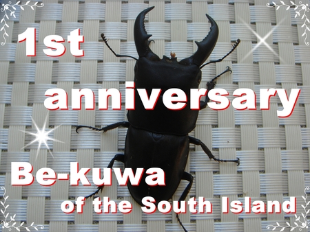 ◆1周年 & パラワン再セット ＆ 羽化・蛹化 & 七色蛹
