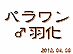 ◆オアシス & パラワン羽化 & オキヒラ菌糸投入