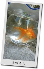 おはよう！ 2010/12/05 13:22:44