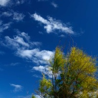 先週の青空☆