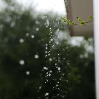 梅雨の空
