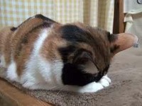 久し振りなの、大阪遠征。