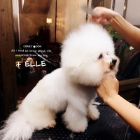 ★ELLE 2020/01/08 00:37:15