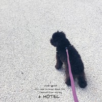 ★New Year HOTEL vol.4 2020/01/04 19:40:49