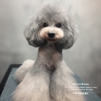 ★HIMARI 2020/01/17 08:00:00