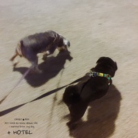★GOTCH  ★RARE  +HOTEL 2020/01/12 02:56:13