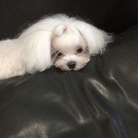 ★お休みなさい(^^)／~~~