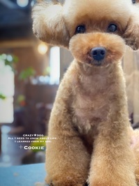 ★Cookie 2020/01/25 08:00:00