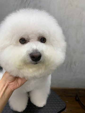 ★PORO
