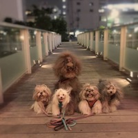★こんばんはヽ(*^∇^*)ﾉ 