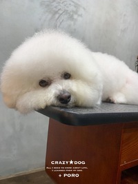 ★PORO 2020/01/17 10:00:00