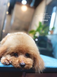 ★Moka 2020/01/26 01:46:16