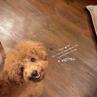 ★New Year HOTEL vol.3 2020/01/03 21:23:46