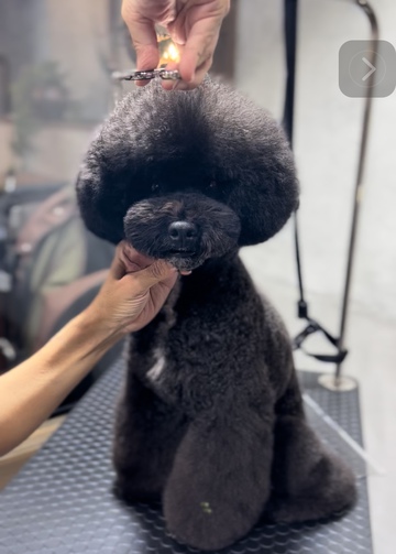 ★BeBe