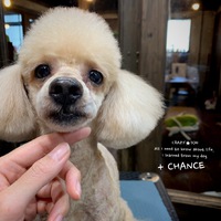 ★CHANCE  ★GLANZ 2020/01/11 03:05:01