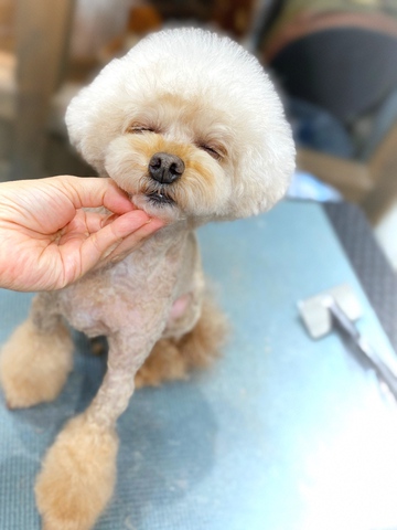 ★Coco
