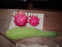 非日常 2010/07/25 11:09:50