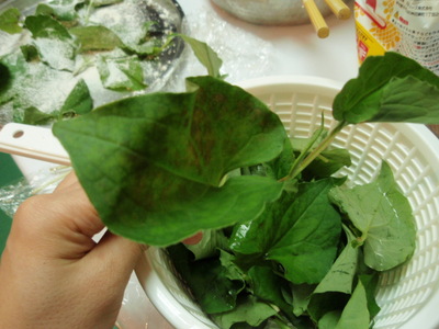 沖縄の葉っぱたちを食べる