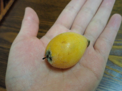 ちびうった！