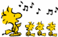 ２００９初☆LIVE 2009/01/10 21:25:45