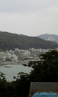2009年11月29日
