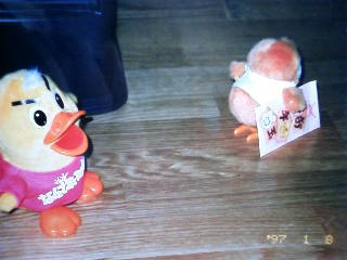 ノンタイトル。
