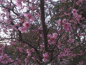 さぁ、朝だ。　　さぁ、仕事だ。