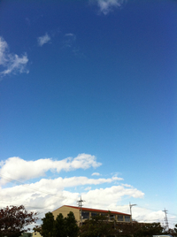 もうすぐクリスマス〜♬ 2011/12/18 17:42:29
