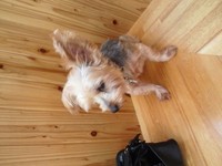 診察 2012/06/10 15:40:08