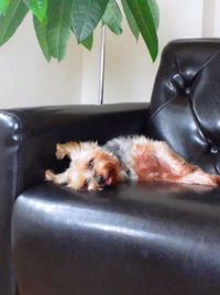 目開いてるよ( ゜∀゜;) 2011/09/25 16:39:22