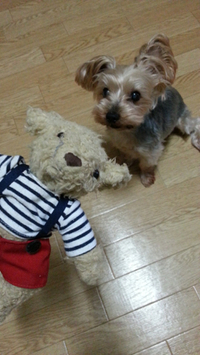 謹賀新年 2013/01/03 00:17:00