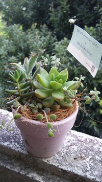 *coco marche*ありがとうございました♪ 2012/03/08 12:36:59