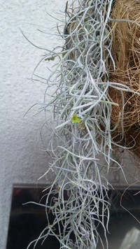 最近のお気に入り(♥^∀^♥).・。* ・☆♬ 2011/07/05 20:32:04