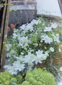 癒し時間♥(人´∀｀*)．☆.。.:*・ 2012/05/17 11:07:00