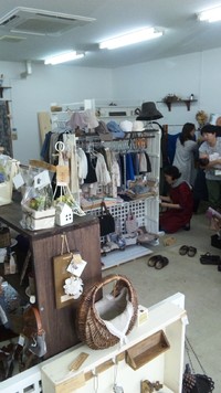 家の多肉ファミリー♪ 2011/07/19 16:04:53