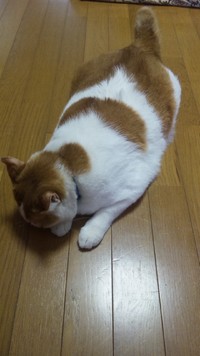 うわぁ～(=^・^=) 2012/05/24 23:01:42