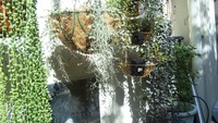 どうするぅ➚Ο(≧∀≦)Ο 2012/06/17 15:56:08